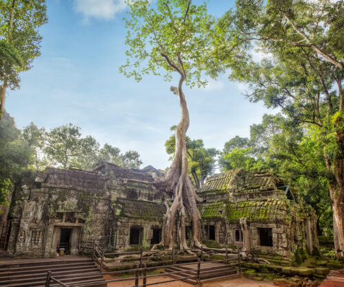 journée13 - Siem Reap - Temples d'Angkor - Bruxelles