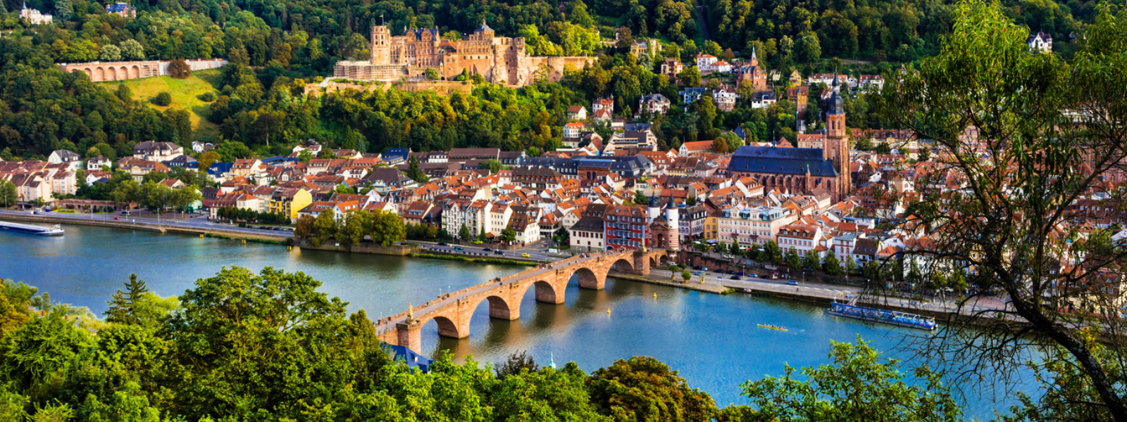 Une croisière inédite sur le Rhin et le Neckar