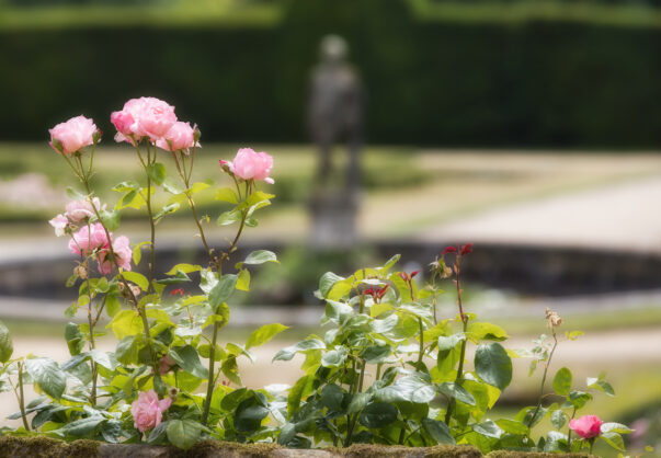 journée1 - BRUXELLES - LONDRES – CHARTWELL HOUSE - MAIDSTONE