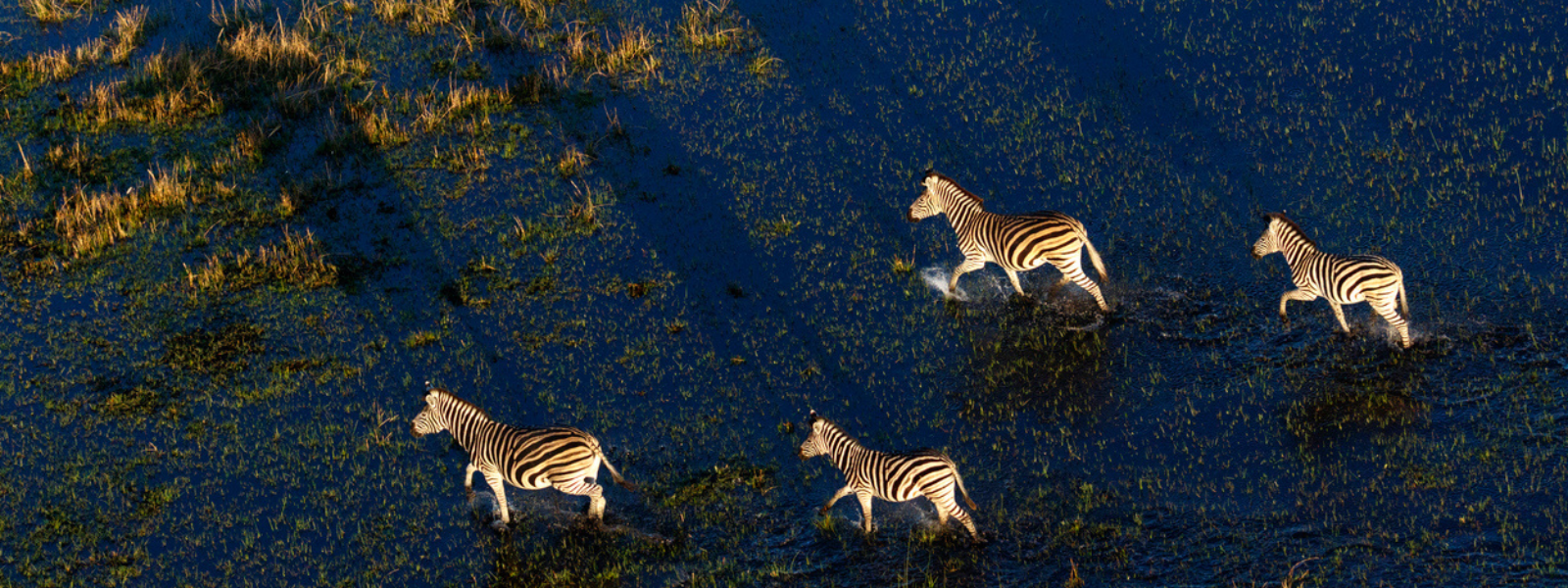 Botswana : L'Okavango, le parc Chobe et les chutes Victoria